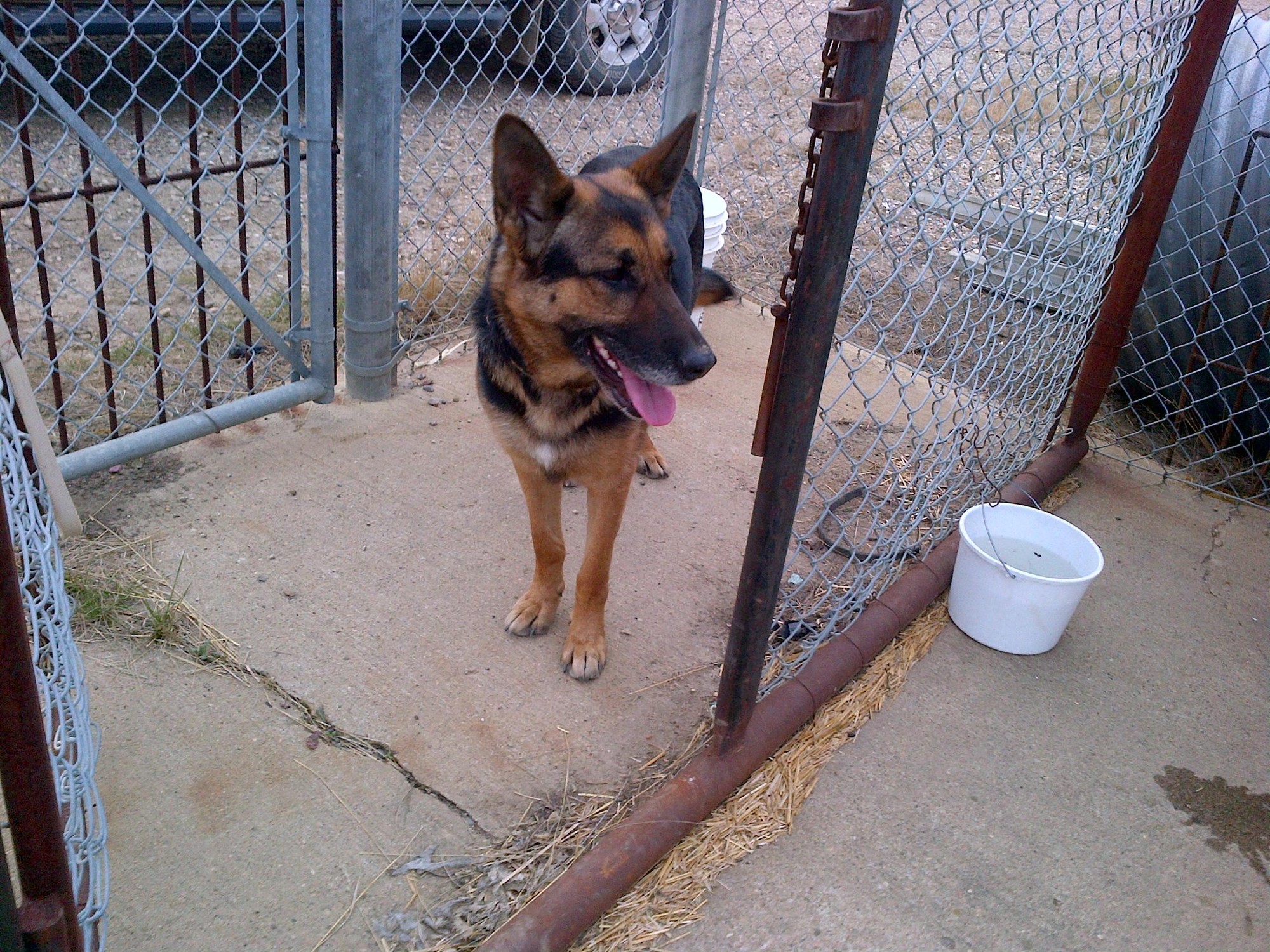 Animal Control: Beaver County Animal Control: Beaver County