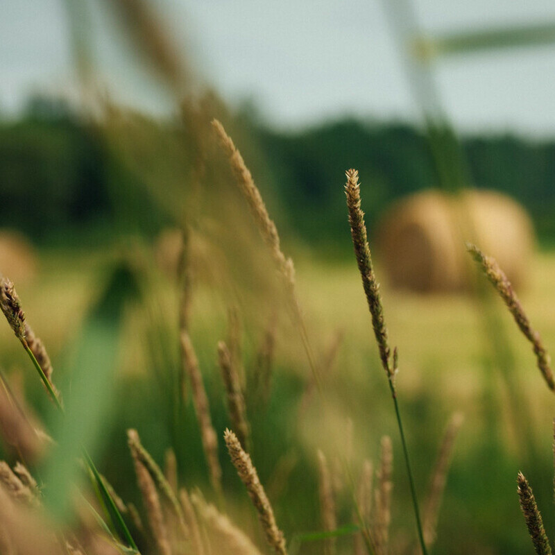 Rural Amenities