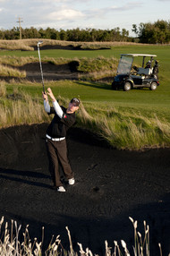 Golfing at Coal Creek Golf Resort