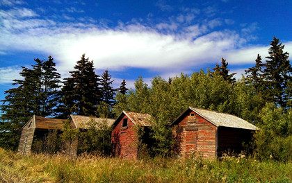 Granaries in Beaver County. Photo taken by Krista Kotylak (2nd place winner in employee photo contest).